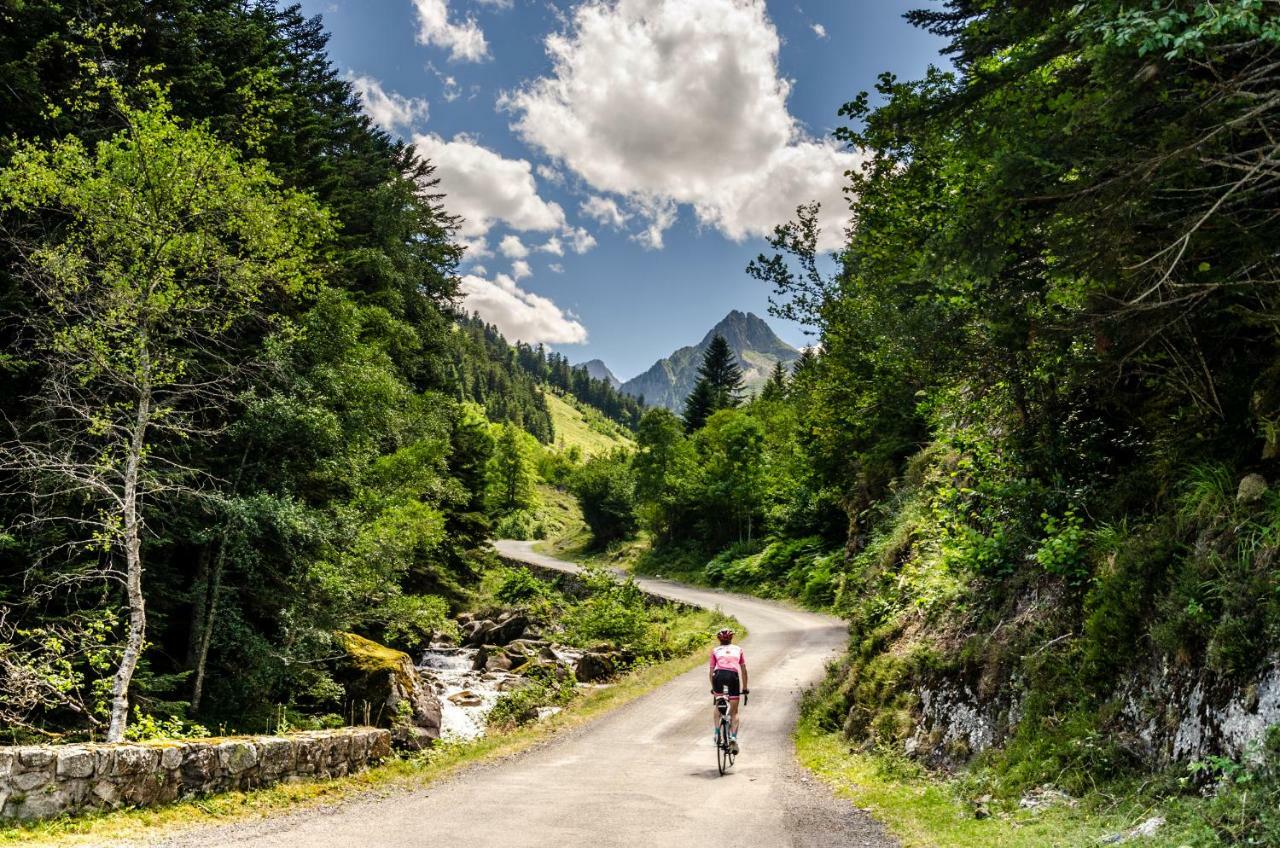 Pyrenees Cycling Lodge Saint-Savin (Hautes-Pyrenees) Exterior foto
